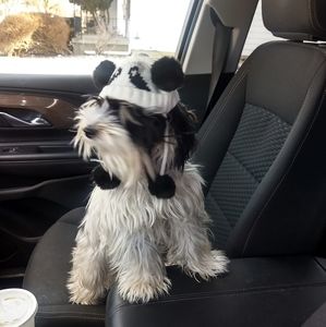 Meet your Posher, Karen-stallings